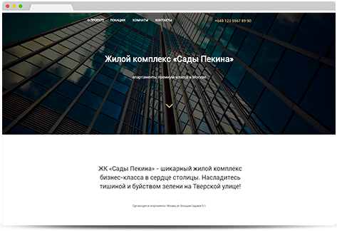 Конверсионный лендинг