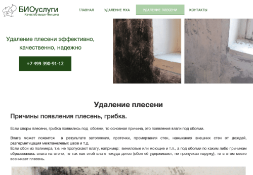 плесенинет.рф - создан на конструкторе сайтов A5.ru плесенинет.рф - создан на конструкторе сайтов A5.ru